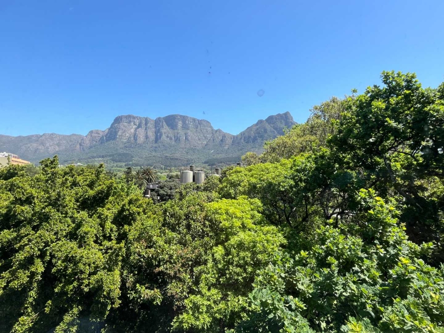 To Let commercial Property for Rent in Newlands Western Cape